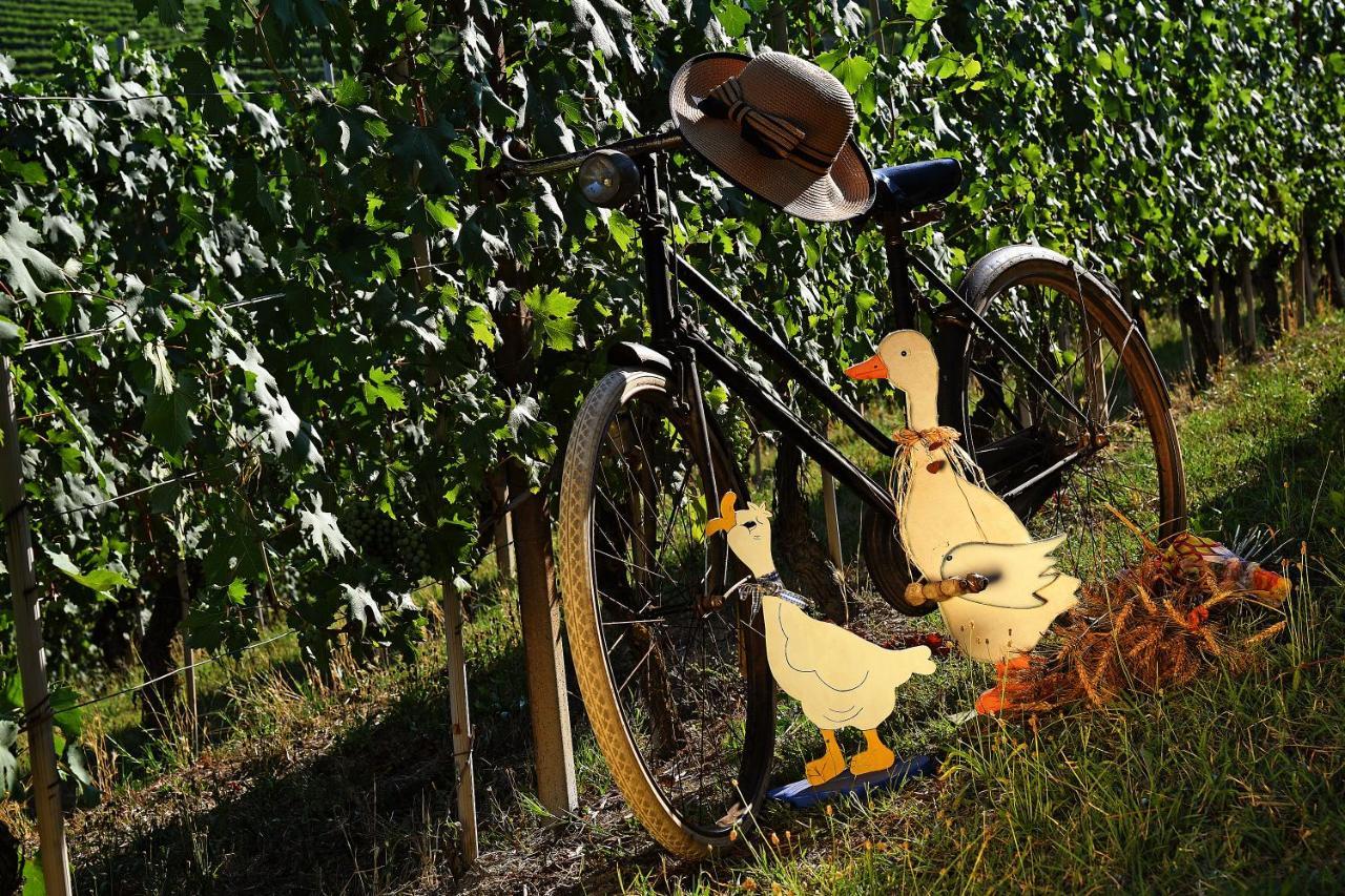 Agriturismo Il Gioco Dell'oca Bed & Breakfast 3*